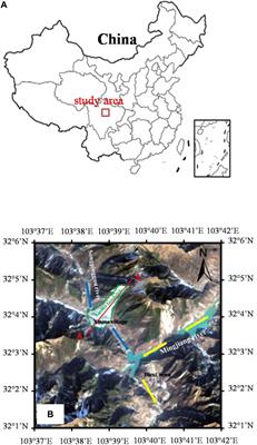 Numerical Simulation of the 2017 Xinmo Catastrophic Landslide Considering Entrainment Effect